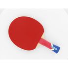 Raq. Alexis LEBRUN K3 2mm KRYPTO C